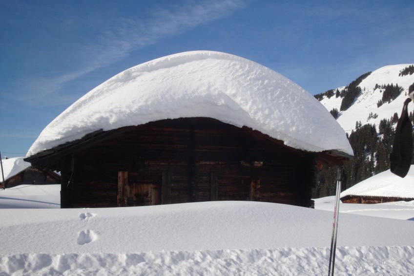 Schaad 4-Bett-Wohnung - foto 4