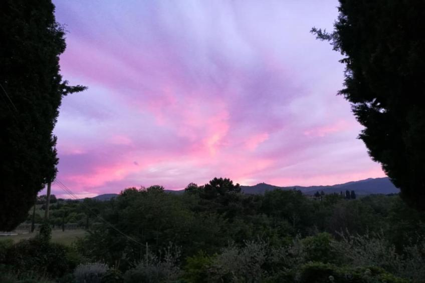 il Coppo - foto 32