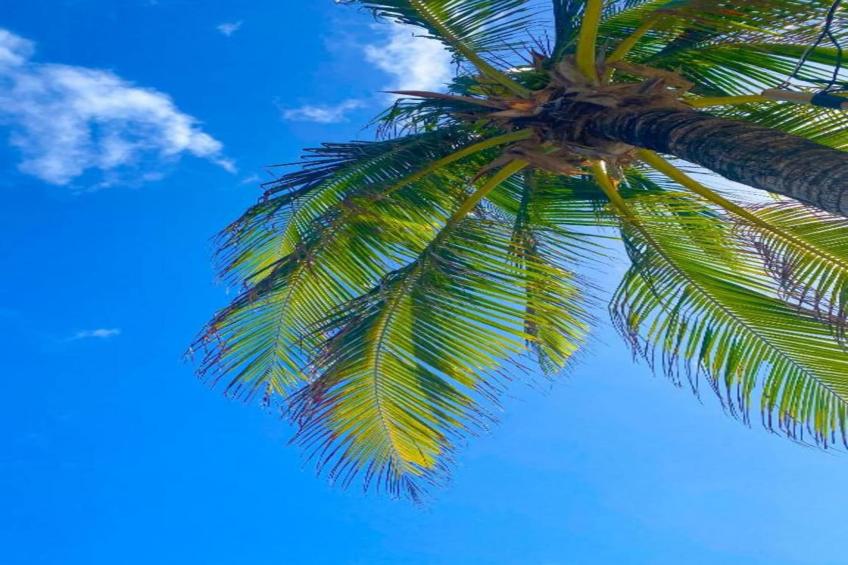 Villa Fleur de Marie - foto 30