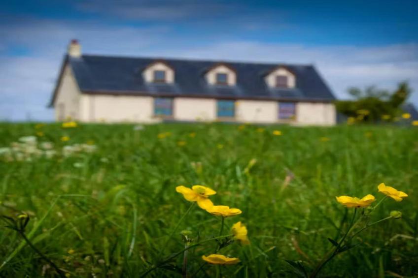 High Cloud Farm & Barn - foto 10