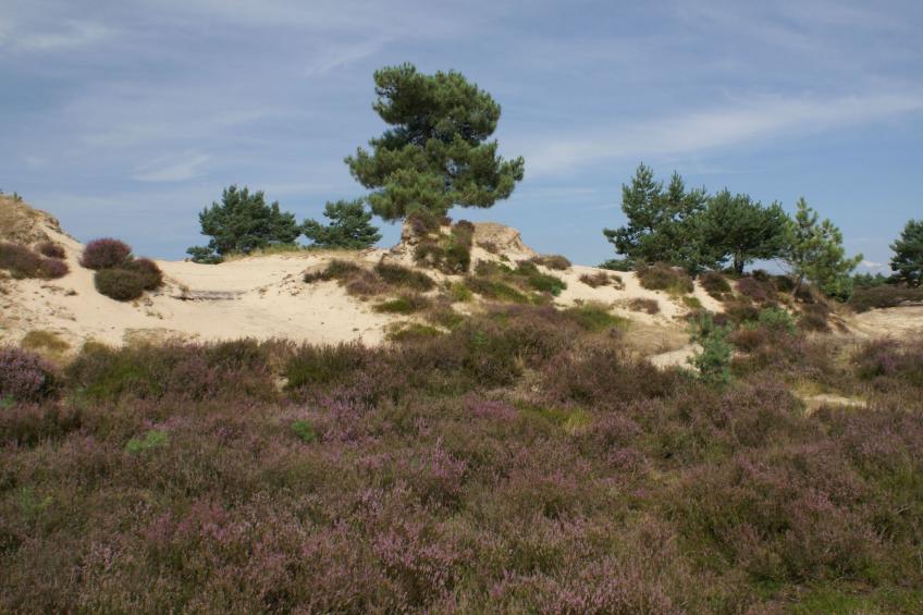 Geschmackvoll eingerichtetes Bauernhaus aus dem 19. - foto 40