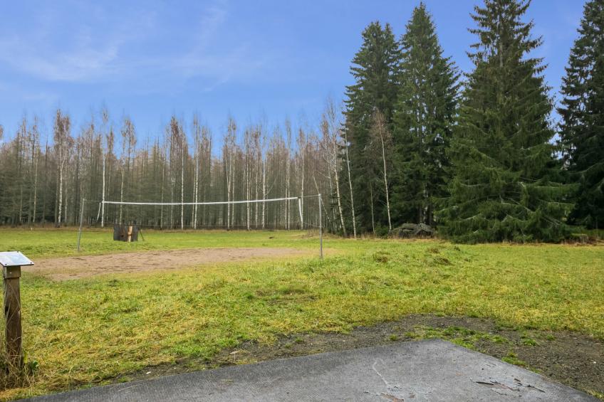 Mustikka, leppäniemen hirsihuvilat - foto 5