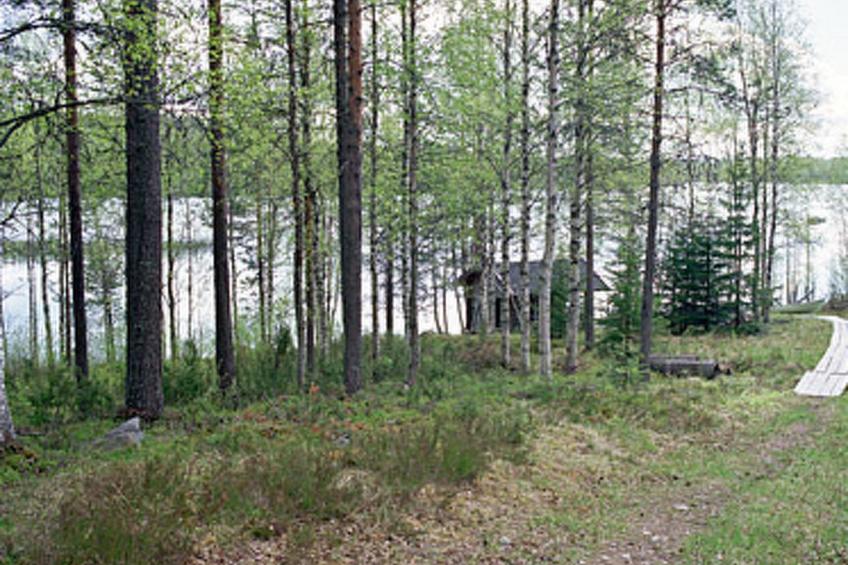 Mustikkainen - foto 3
