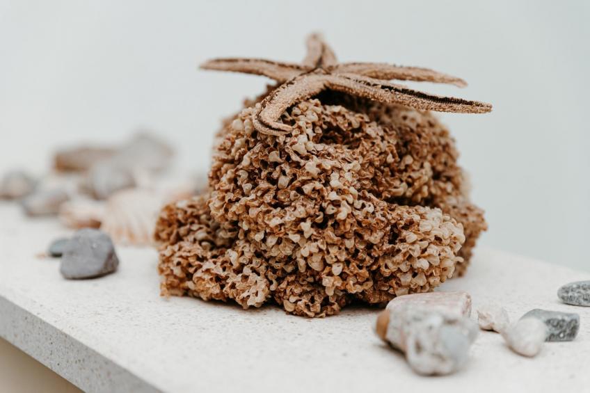 Apartments Dragobratović - Superior One Bedroom  Apartment with  Balcony and Side Sea View (Apartment 4) - foto 36