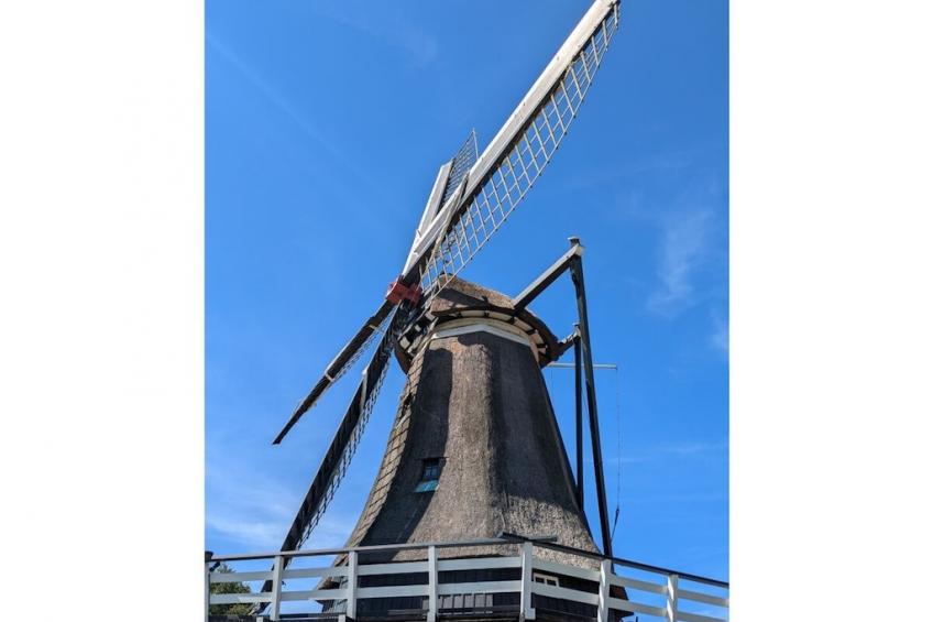 775174 - foto 15