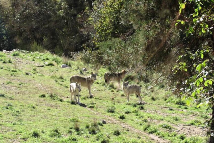 Gîte de France Gîtes de france 11 personnes au teil 3 épis - foto 22