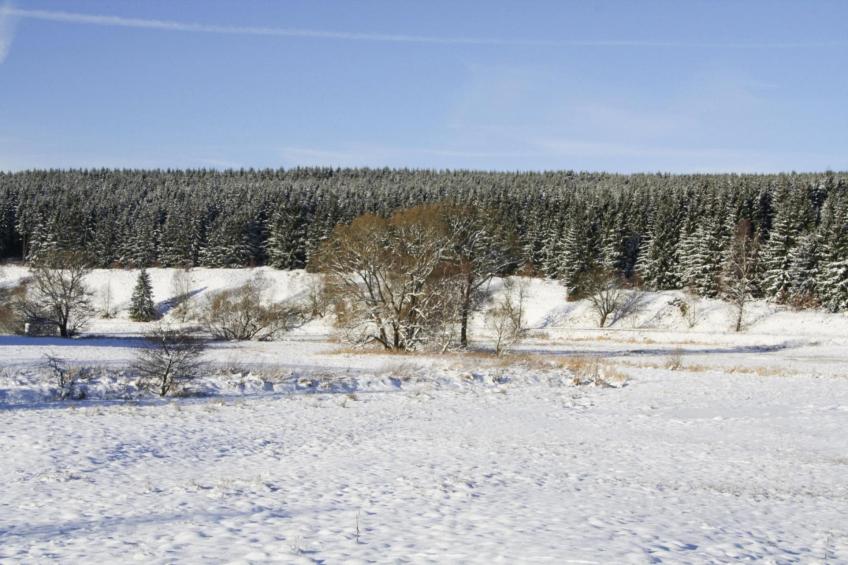 Hexenzauber I und II - foto 56