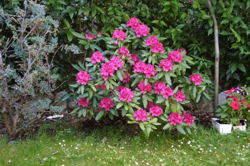 Landgut mit Garten, Grill und Terrasse - foto 26