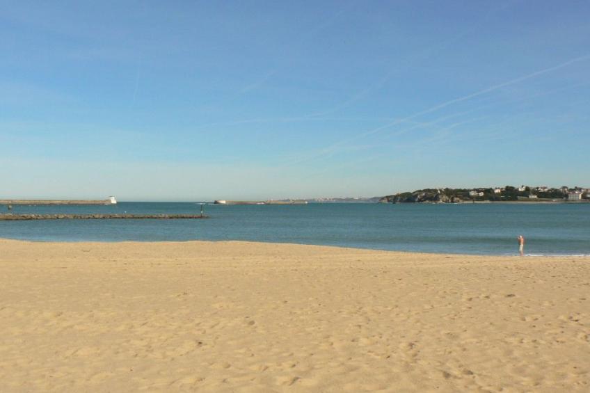 Fewo mit Terrasse - foto 26