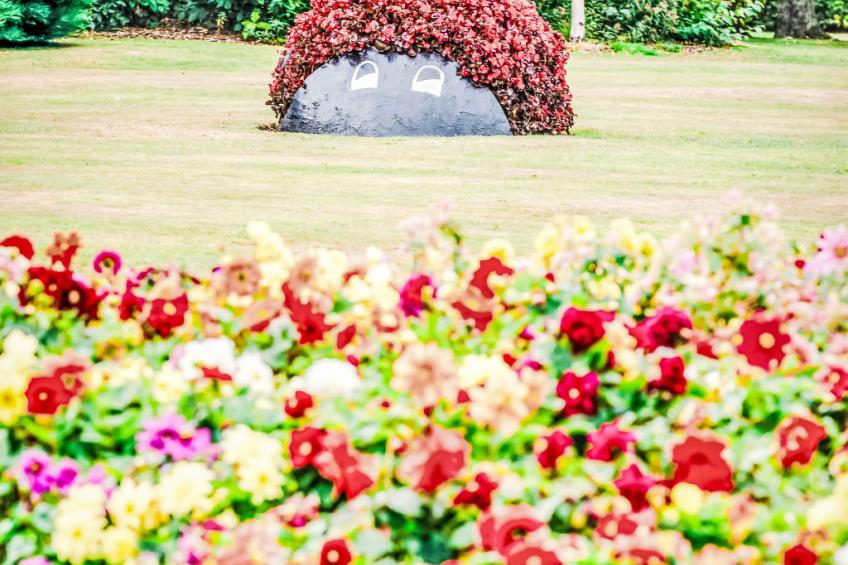 Varis Haven - foto 38