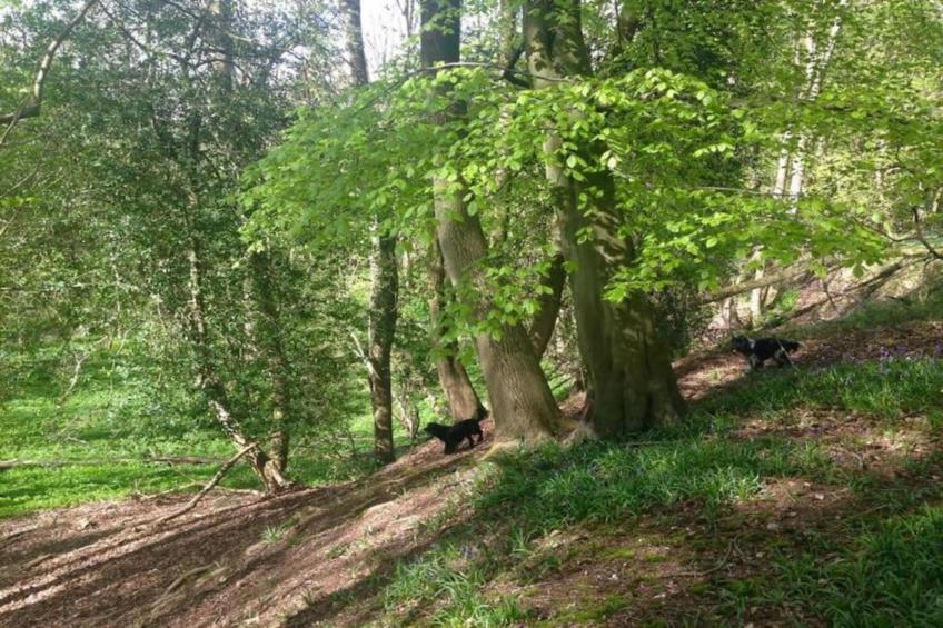 The Herdwick Safari Tent - foto 18