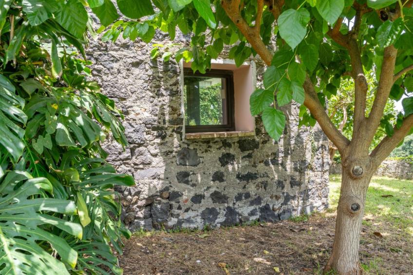 Avocado Garten - foto 40