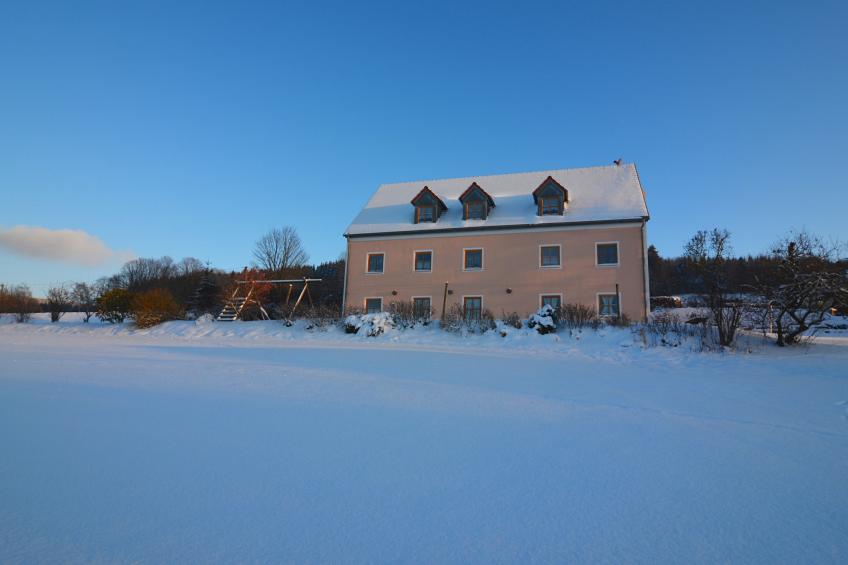 Blumenhof - Malven - foto 35