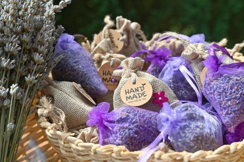 Lavanda Land - Villa Tanya Mrežnica - Three Bedroom Holiday Home with Hot Tub - foto 31