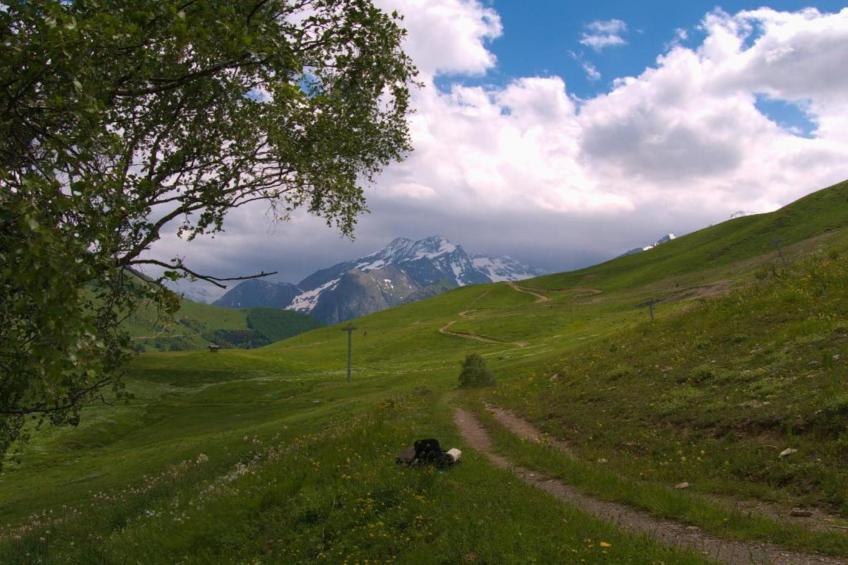 Coeur des Ours B N°01 - 3P6 - foto 17