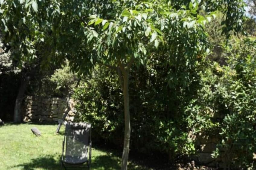 Nouveau "villa Nova" - foto 25