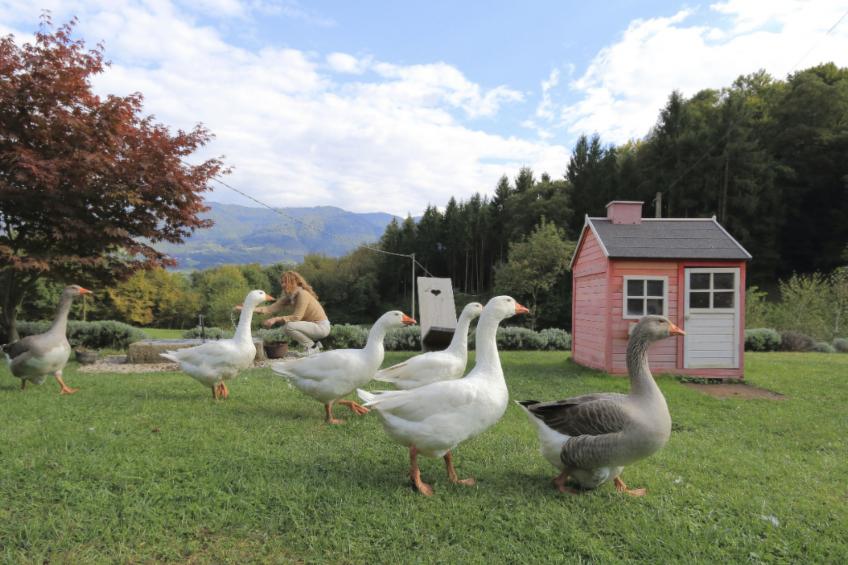 Duck's Cottage für einen Dolomitenurlaub - foto 41