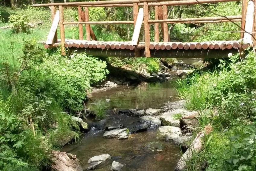 für 6 Personen im Thüringer Wald - foto 19