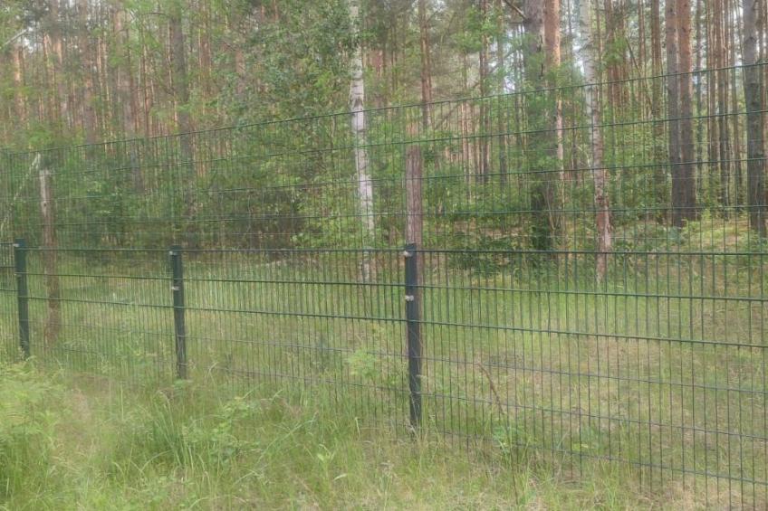 Haus am Ostsee - foto 10