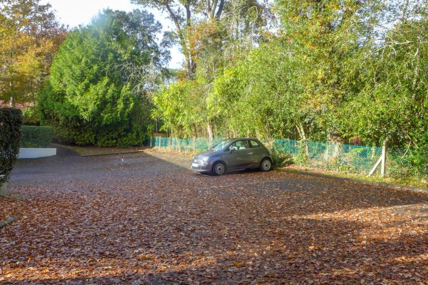 Les écureuils - foto 18