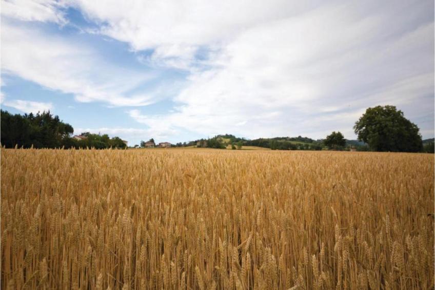 Casa Santa Lucia - foto 22