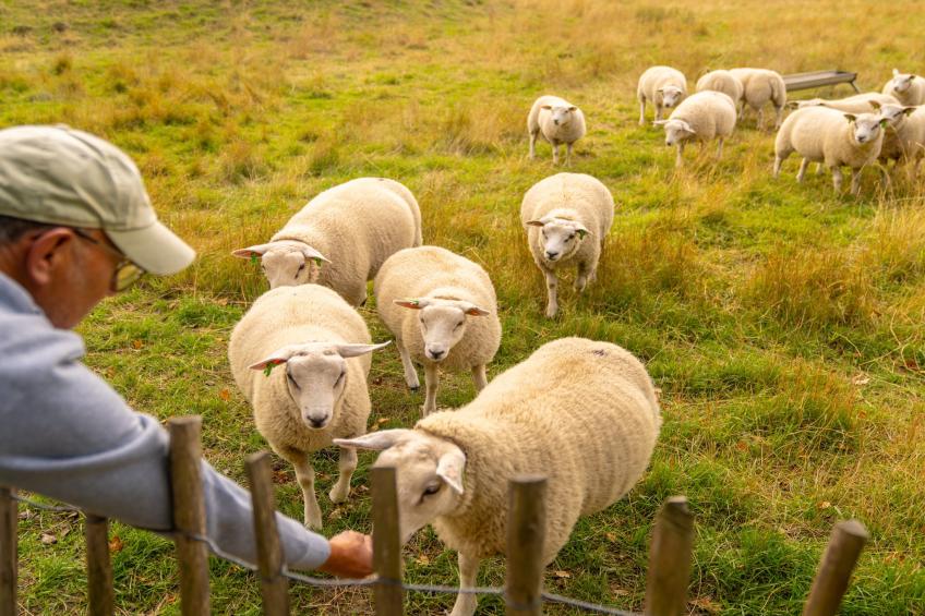 Beach Resort Brouwersdam 1 - foto 15