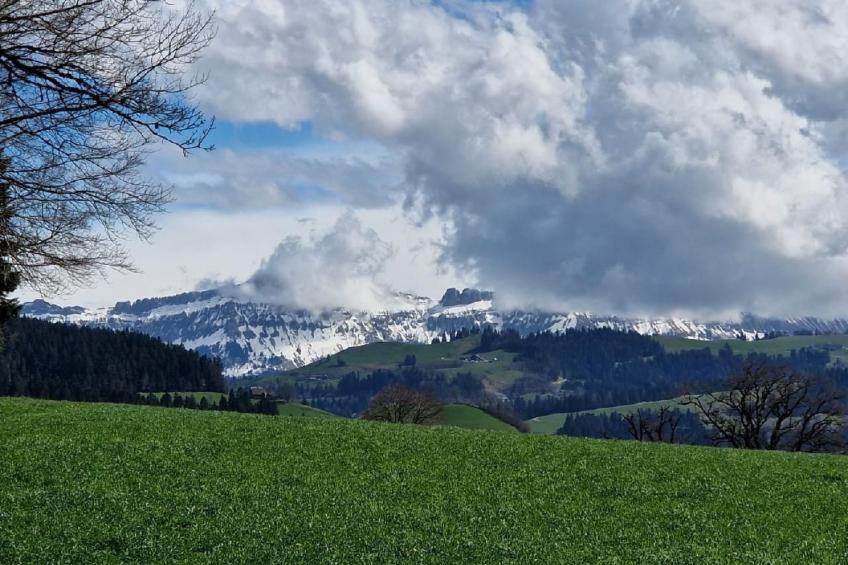Emmental Ferien - foto 39