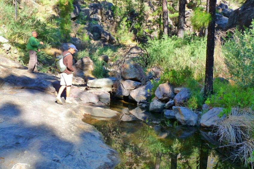 La Finca' Landhaus - foto 29