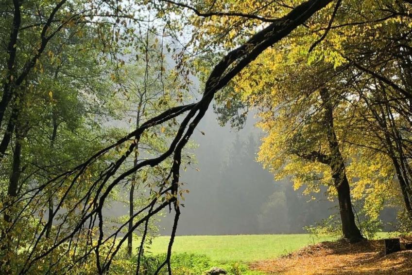 Urbane Remise - foto 24