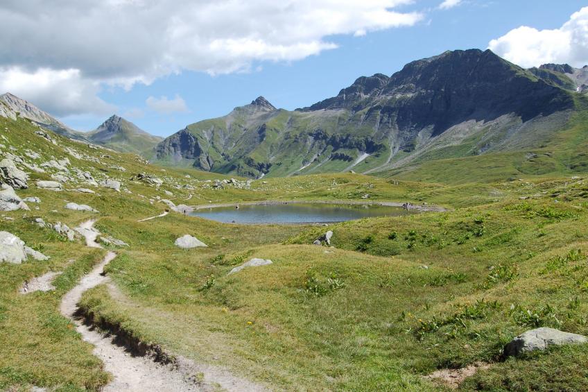 Rustico Stübii - foto 30