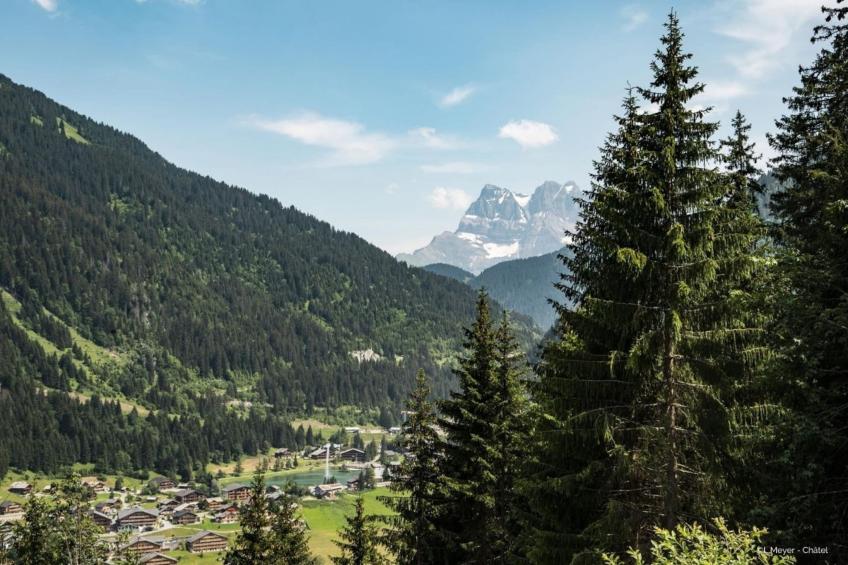 Portes Du Soleil PSB187 TELECABINE & MOUNTAIN 4 Pe
