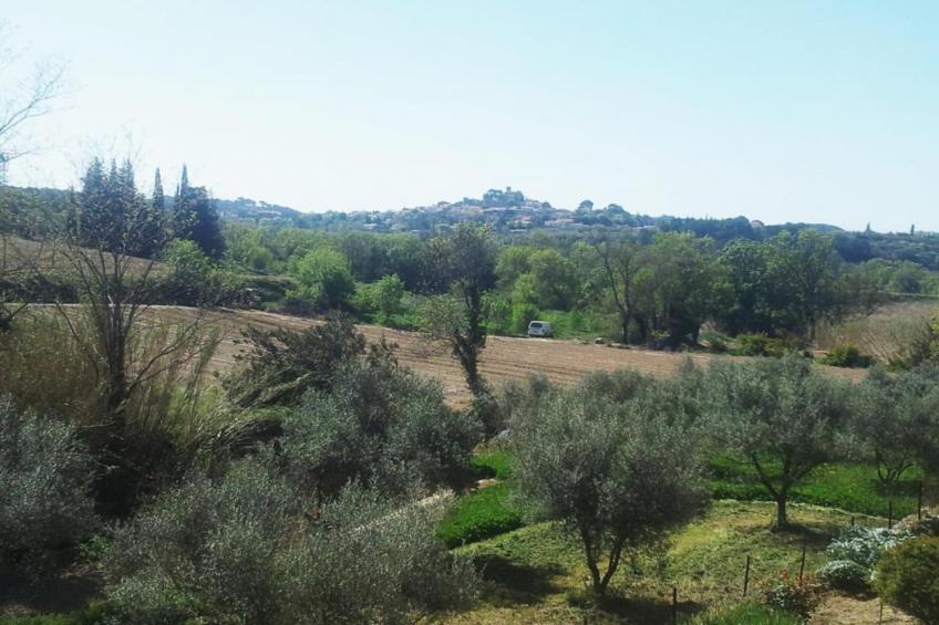 Mas La Cigalière - foto 37