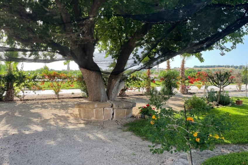 in Noto mit Terrasse, Garten und gemeinsamem Pool - foto 23