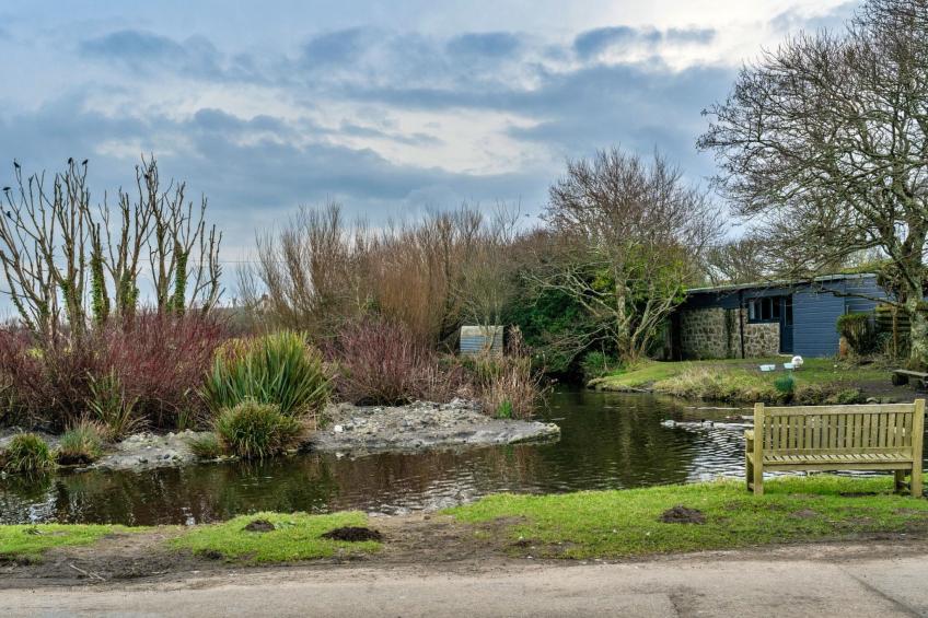 No.1 Gladys' Orchard - foto 30