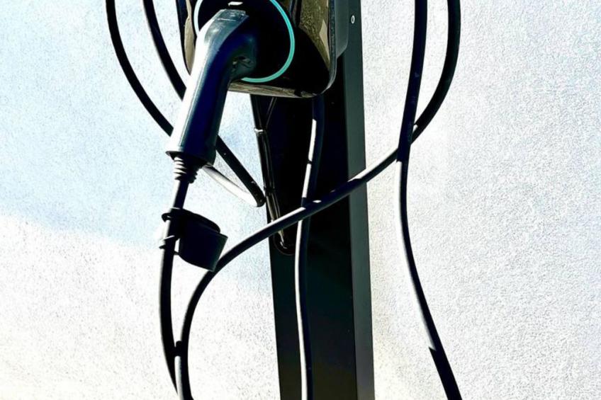 Gan Eden Nature House - foto 47