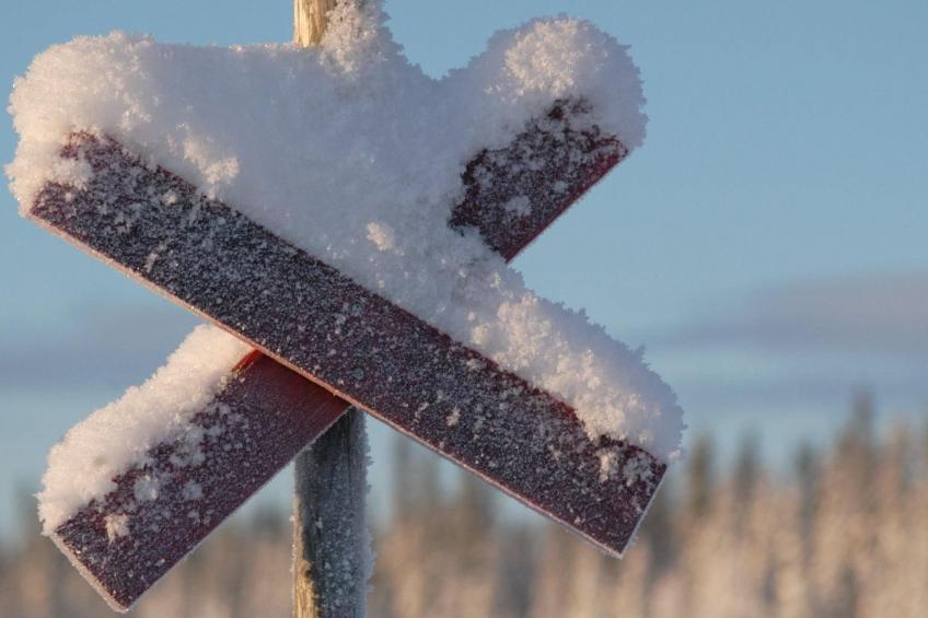 Charmantes Blockhaus, Sauna und Kamin - foto 23
