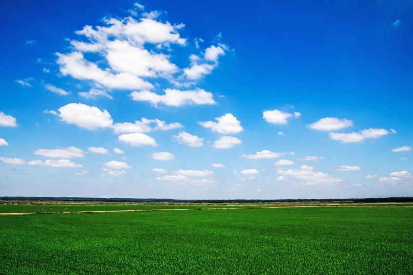 Herdade de Montalvo - foto 17