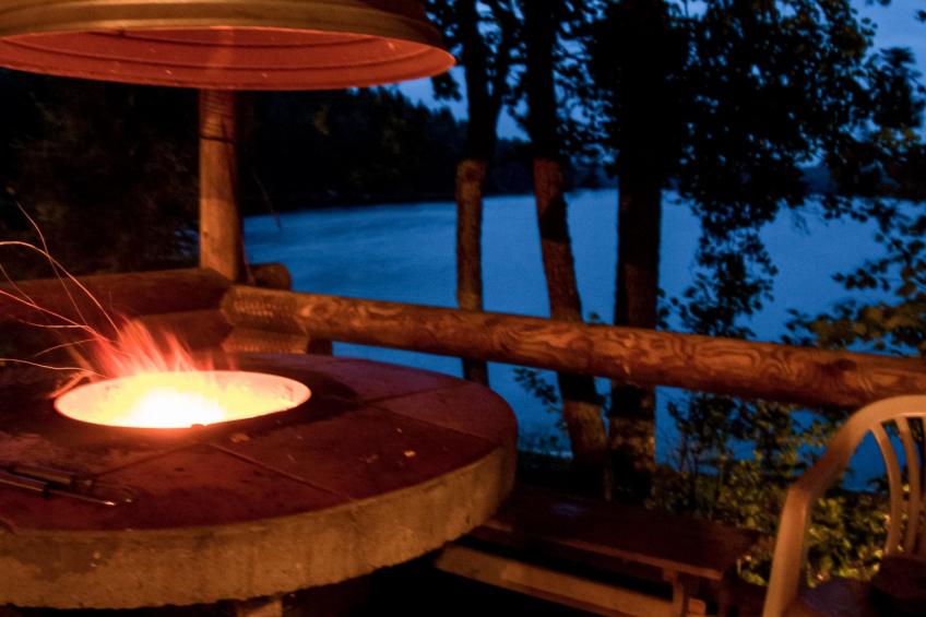 Kalliokoivu - foto 16