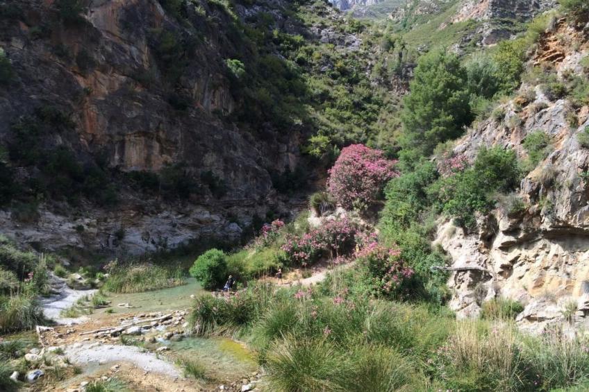 Eine Oase der Ruhe mitten in der Stadt - foto 37