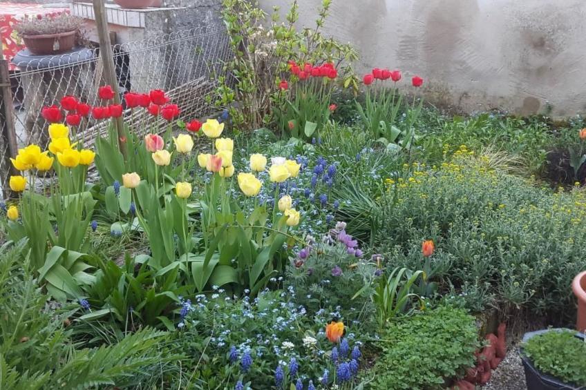 Maison Ruth/Galerie - foto 7