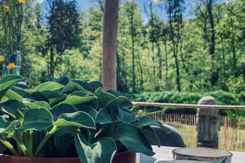 Tolles Ferienhaus in Bolanden mit Großer Terrasse - foto 25
