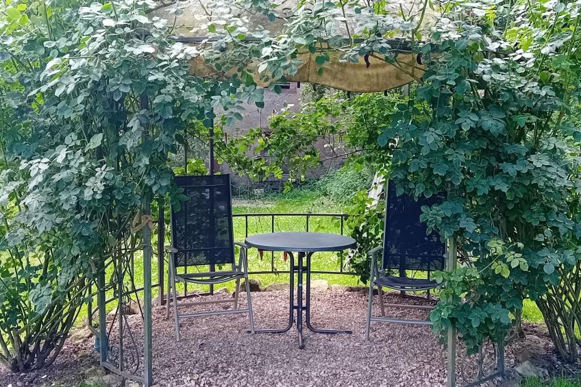 Tolle Wohnung in Klüsserath mit Großem Garten - foto 13