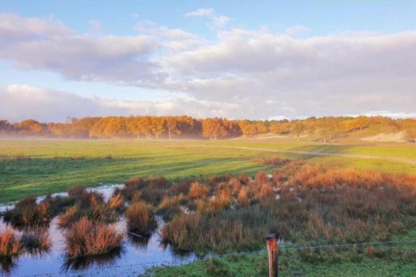 Résidence Wijngaerde - foto 26