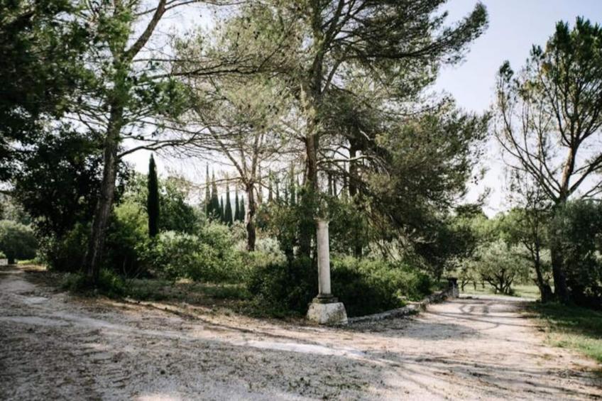 La Volière - Pernes-les-fontaines - foto 28