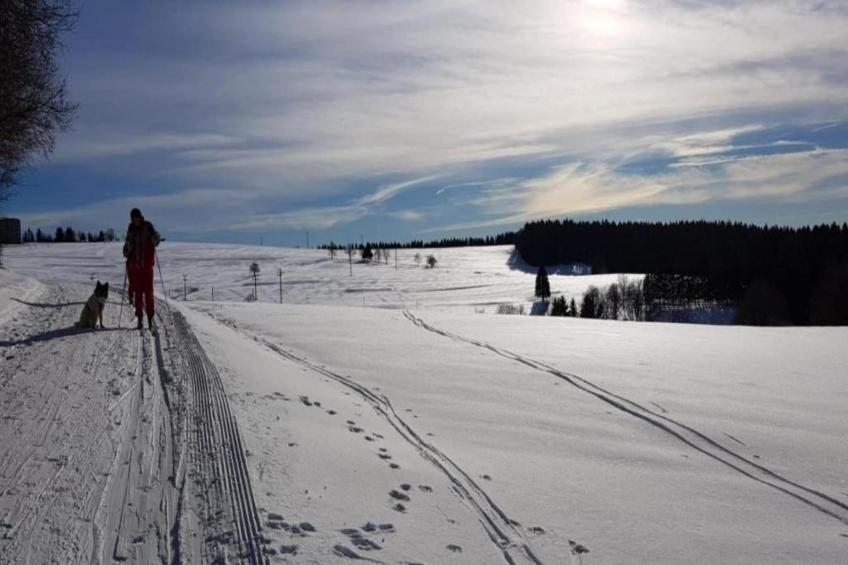 Thüringer Wald - foto 18