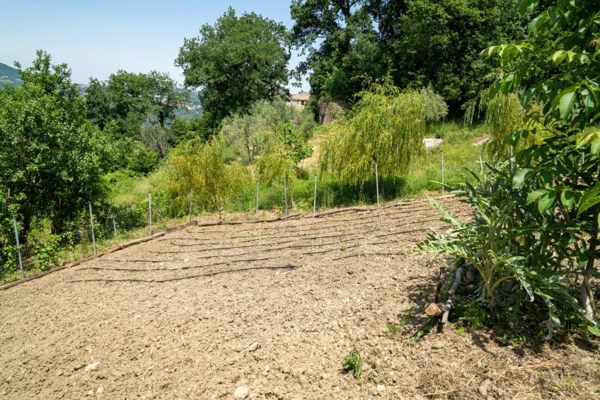 Nonna Gemma - foto 48