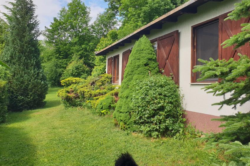 Buchengrund - foto 16