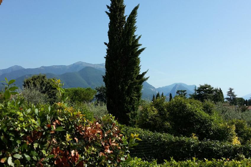 Piccola Perla - foto 11