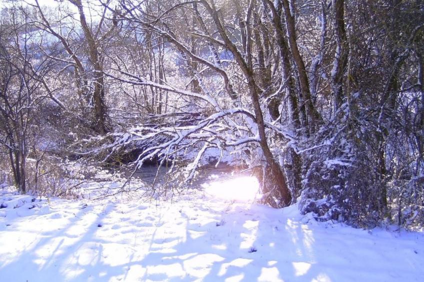 Ober Langengarten - foto 61