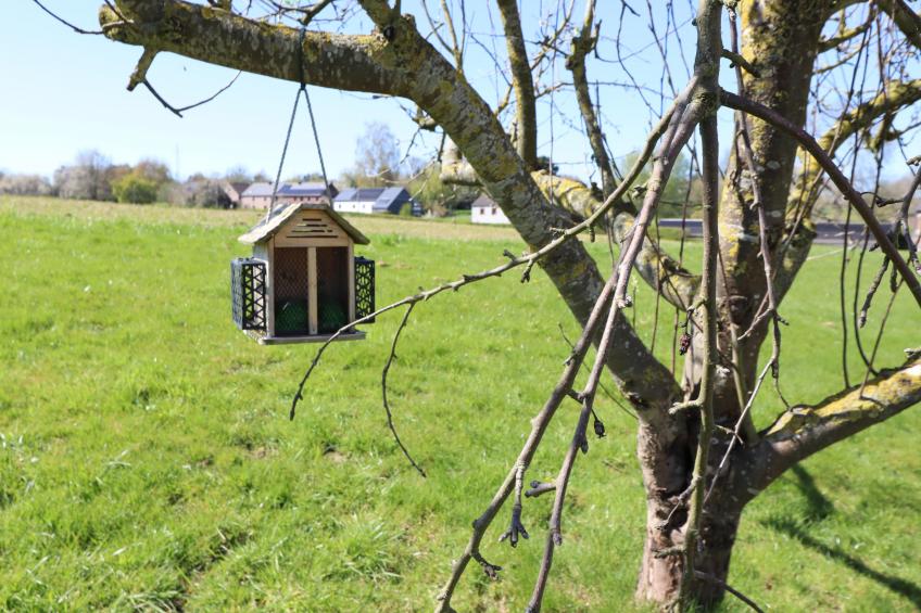 La Tour de la Chapelle - foto 29